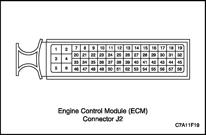 C7A11F19
