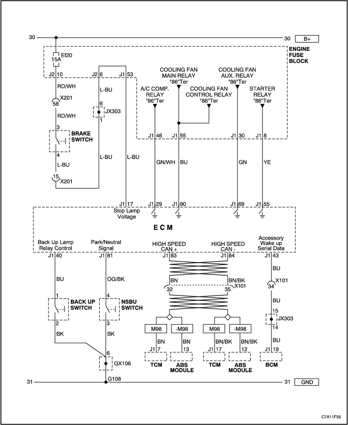 C7A11F55