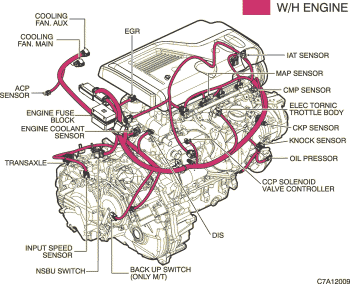 C7A12009.png