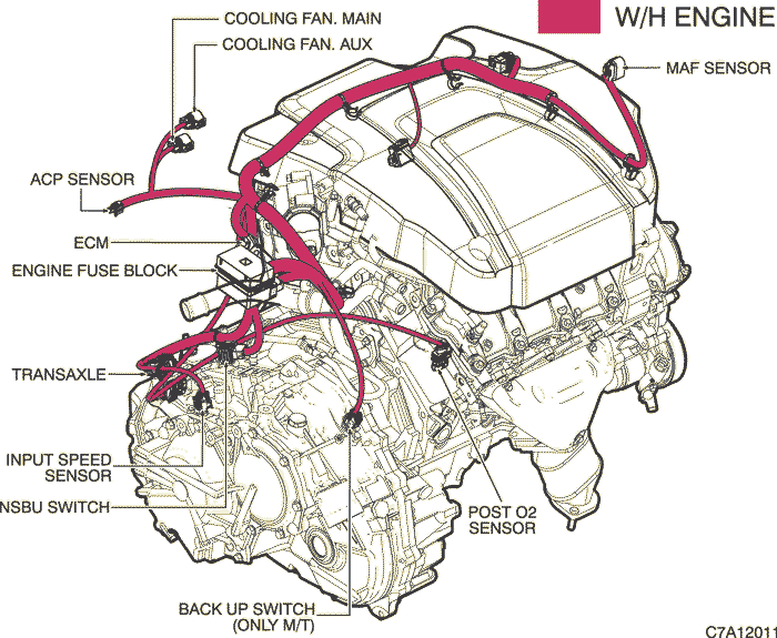 C7A12011.png