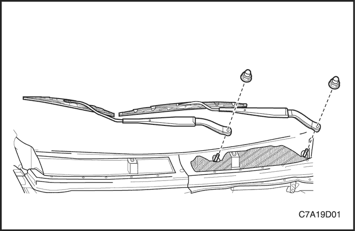 C7A19D01