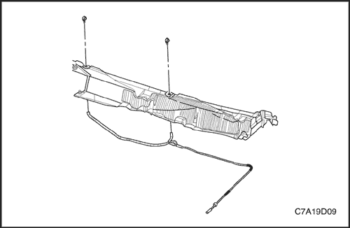 C7A19D09