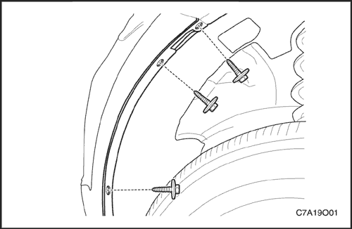 C7A19O01