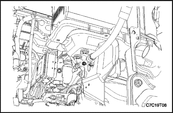 C7C19T08