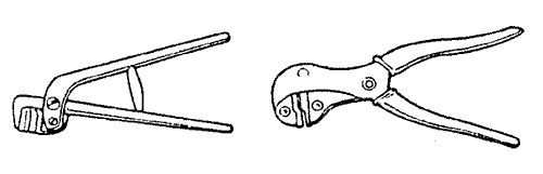nb3f19